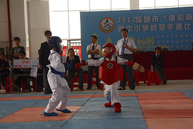 2012年深圳市“体彩杯”青少年空手道比赛暨中、小学校空手道比赛